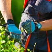 Expertise en plantation et aménagement floral pour sublimer vos espaces verts