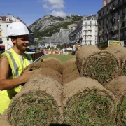 Taille experte d'arbustes pour maintenir la forme et la santé des plantes